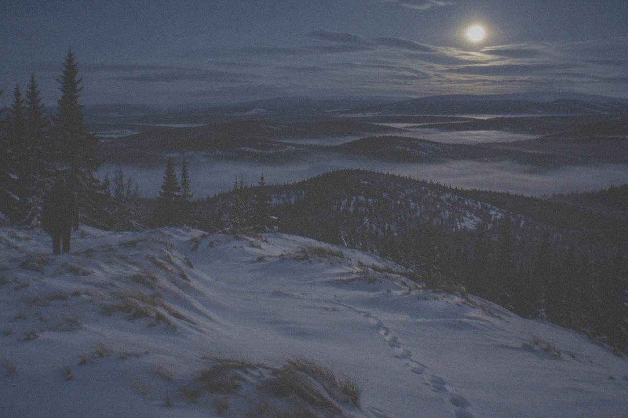 Dark spruce forest and snowy hills outside Fairbanks under a starry night sky