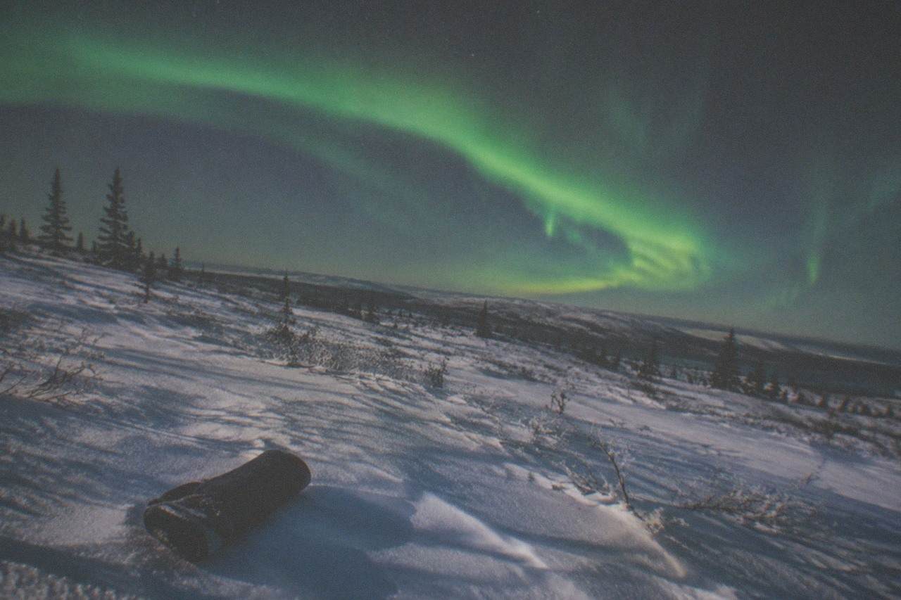 Green aurora arcs over a snowy field with dark spruce trees at the horizon